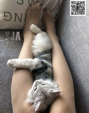 丁香美女20P_BD韩语在线观看视频