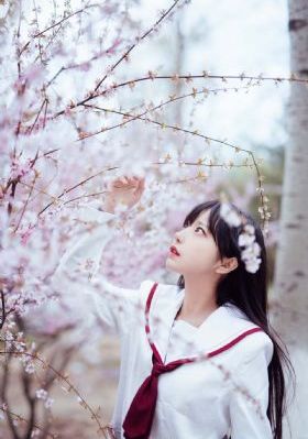 日本在线A一区视频_4K手机在线看