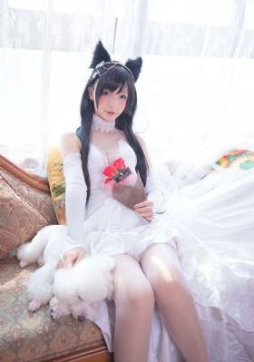 上司人妻互换hd无码_4K超清在线观看